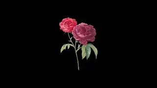 [FREE] Phora Type Beat 2021 