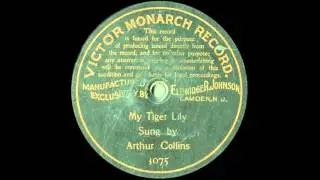 Arthur Collins (2) -- My Tiger Lily