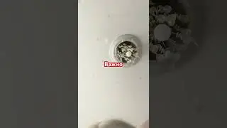 #выкотики #рекомендации