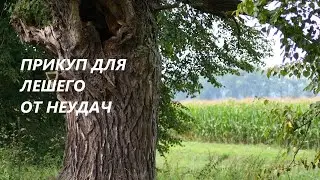 🎀Обряд Три монеты от неудач.✨ Прикуп для лешего