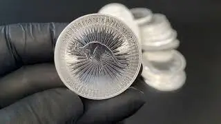 Silber Känguru 1 oz Differenzbesteuert