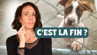 We answer the call for HELP from a shelter!!!