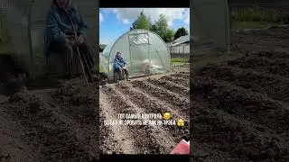 Хороший майский день! По ночам морозит, днем не жарко, но за работой не мерзнем 😉!