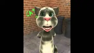 Talking Tom turn up the music
