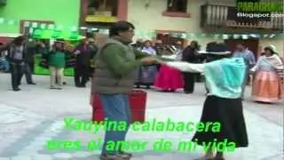 PALLA ALISINA - Yauyina Calabacera.