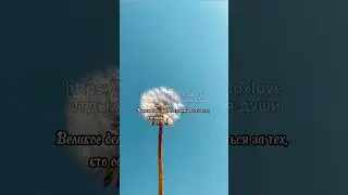 Силуан Афонский. О мире