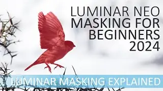 How to Use Masks in Luminar Neo - A Beginners Guide