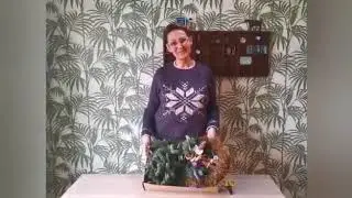 Christmas Wreath DIY Kit