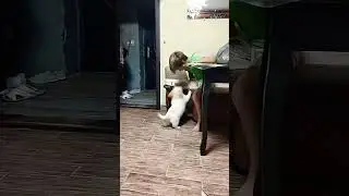 Вечірня розрядка