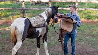 Saddling A WILD HORSE For The First Time! | Taming A Wild Horse [EP 6]