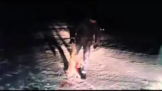 Охота с тазы на корсака.