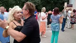 Чёрная смородина........... 31.08.24 Гомель парк Луначарского 🥰