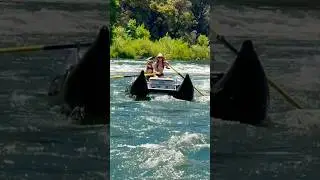 Rafting With Dogs!
