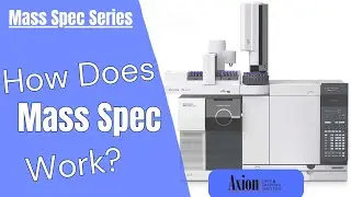 How does mass spec work?