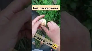 скіл
