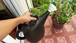 Chapin 2-Gallon Tru-Stream 47998 Watering Can Review