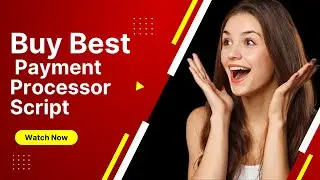BUY  BEST PAYMENT PROCESSOR SCRIPT FROM NEW WEB MAKER
