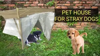 Making pet house for stray dog || free of cost