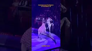 ⚡всем советую увидеть в живую шоу @royalcircusgiaeradze ✨
