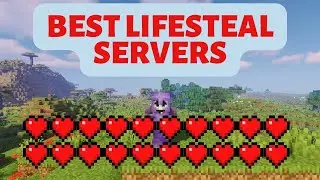 Top 5 Minecraft Lifesteal Servers 2024