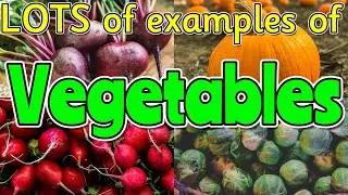 VEGETABLES for kids 🍊🥝🍉 Can you name ALL of the different vegetables? Miss Ellis 