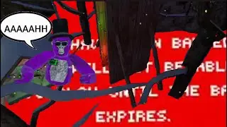 If I Touch The Ground I Get Banned | Gorilla Tag VR