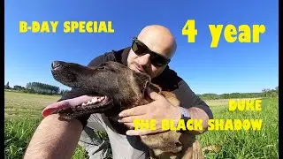 DUKE's 4th BIRTHDAY - SPECIAL Belgian Malinois [Belçika Kurdu doğum günü özel] Duke #9