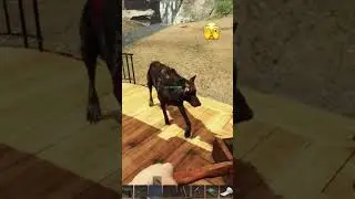 Subsistence | Волк - читер 😁 