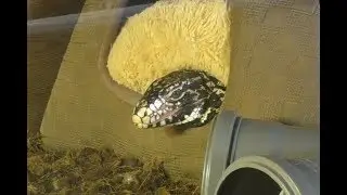 Впихнуть невпихуемое