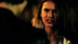 ►Damon and Elena - ''You make me crazy, you make me wild''