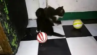 Si kecil bermain bola