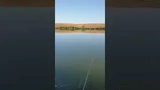 тишина)