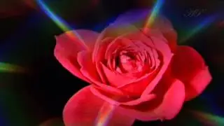 💘  Happy Valentine's Day 2023  💘 Just For You 💘