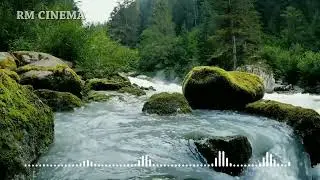 Background vidio Astetic No Copyright
