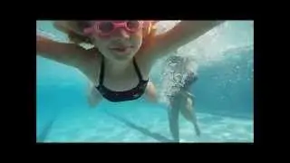 Dolphins Swim Team