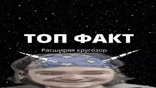 ТОП ФАКТЫ ПРО УБЕРМАРГИНАЛА