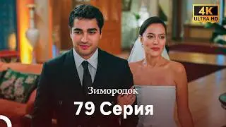 Зимородок 79 Cерия (Русский дубляж) (4K)