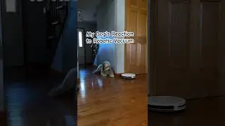 Robotic Vacuum