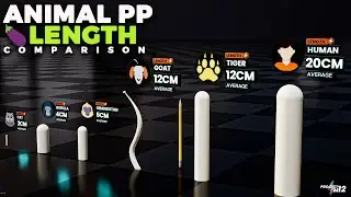 🐮Animal PP Size📏 | 3D Comparison
