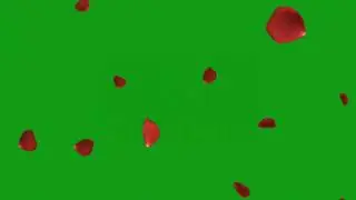 Rose petals falling effect | Green Screen Library