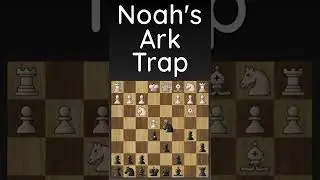 Noah's Ark Trap