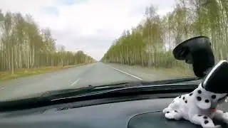 17 мая 2024 г.