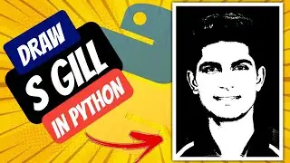How to draw S Gill using python