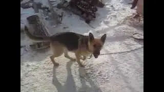 Грета