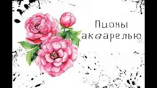 Пионы акварелью