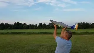 3D printed airplane model Mustang (1&2)