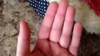 Погода в Хабаровске!!! блина снега навалу!!!!!!!