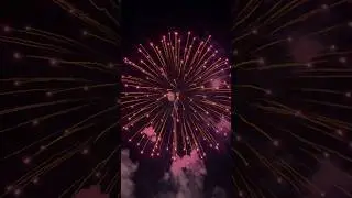 Coco 🥥🔥 #crazy #explore #firework #loud #mustwatch #pyro #shorts #viral