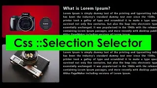 Css ::Selection Selector|CSS Selection Pseudo-Element Tutorial|Css Selection|Css Selection Selector
