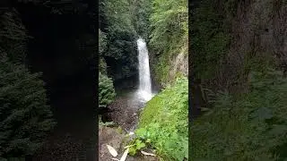 Palovit Şelalesi - Rize